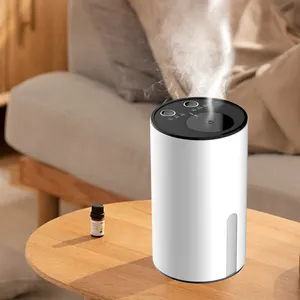 Wiederauf ladbarer Zerstäuber Rauchs pray Mini USB Metall Diffusion Aroma therapie Nachfüllbarer Duft diffusor Home Duft diffusor