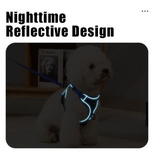 Rarewe, producto para mascotas, cachorro, perro, chaleco, arnés, conjunto OEM, logotipo de marca personalizado, transpirable, ajustable, arnés para perro pequeño para <span class=keywords><strong>Bichon</strong></span> Frise - Product Image 4