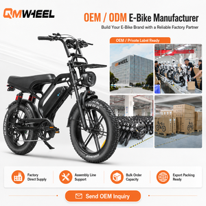 Bicicleta eléctrica QMWHEEL V20 Limited 48V, bicicleta eléctrica urbana con llantas gruesas, batería de litio, bicicleta eléctrica todoterreno para OEM. - Product Image 1