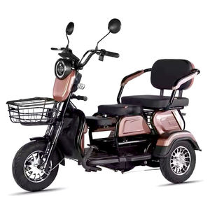 Pour la livraison Trike électrique à 3 roues Type pour femmes Utilisation urbaine E-bike Pedicab électrique Tricycle électrique pour deux personnes - Product Image 5