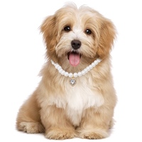 Collier pour animaux de compagnie en acrylique de qualité supérieure, style princesse, avec fermoir en forme de cœur, collier en perles, pendentif en cristal, écologique pour chats, chiens et autres animaux