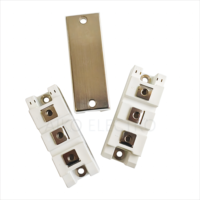 Module IGBT 1700V 100A, module de circuit demi-pont pour commande de moteur et amplificateur de servomoteur AC/DC