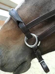 Halters et bride d'équitation de qualité supérieure MAHERSI - Product Image 3