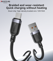 Câble de données tressé en alliage d'aluminium USB vers IP Yesido 3 mètres 12W à charge rapide CA134L