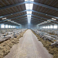 Structure en acier à coût commercial Hangar de ferme de chèvre préfabriqué élevage de volaille/vache/mouton