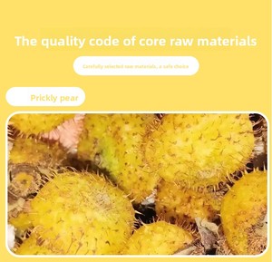 Píldoras de <span class=keywords><strong>Bebida</strong></span> Sólida de Espina de Púrpura (Pupa Worm Prickly Pear Berry) 15g/Bolsa X20 Bolsas, Procesamiento OEM Personalizado, Mejora la Densidad Ósea - Product Image 6