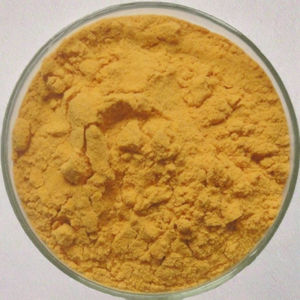 ผงมะม่วงลิโปโซมมาตรฐาน GMP คุณภาพสูง เกรดอาหาร 100% จากธรรมชาติ บรรจุภัณฑ์แบบสุญญากาศในถังพลาสติก - Product Image 2