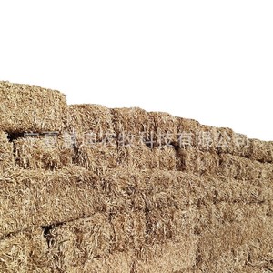 Pacas de Tallo de Maíz para Alimentación de Ganado Vacuno, Ovino y Equino - Product Image 5