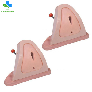 Best Selling Anatomical Model Realistic Training Simulator for <strong>Perineum</strong> Cutting and <strong>Suturing</strong> for School Use - Product Image 3