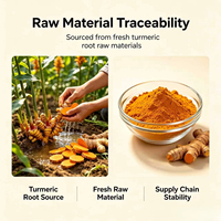 Poudre d'extrait de Curcuma Longa microencapsulée hydrosoluble à 10 % de curcumine