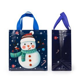 Bolsas de Compras Reutilizables de PP Tejido, Bolsas Ecológicas para Supermercado con Superficie Laminada, Impresión de Logotipo Personalizado, Bolsas Resistentes - Product Image 4