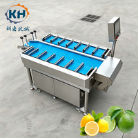 Eenvoudig te bedienen kleine platform multihead combinatie weegschaal 220V voor toepassing in verwerkingsfabrieken voor vers fruit