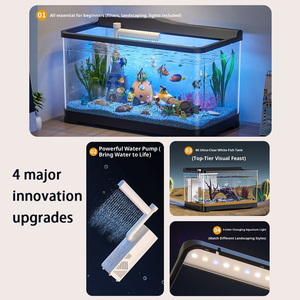 Rechteck Mittel <span class=keywords><strong>aquarium</strong></span> mit Filtration für Wohnzimmer Dekoration <span class=keywords><strong>Aquarium</strong></span> <span class=keywords><strong>Aquarium</strong></span> Home Landschafts bau - Product Image 5