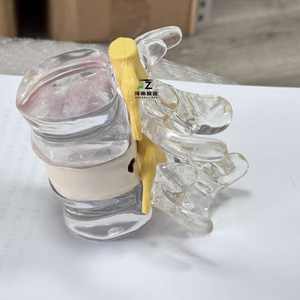 Modelo de Demostración de Extrusión de Columna Vertebral y Médula Espinal, Modelo de Enseñanza Médica Humana, Bola de Burbuja de Médula Espinal - Product Image 5