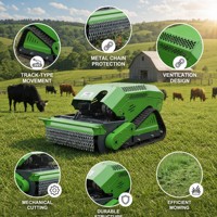 En gros, Tondeuse à fléaux sur chenilles 4 temps avec protection de chaîne métallique, coupeuse professionnelle 13 CV pour propriétés, parcs, jardins, terrains ouverts et usage utilitaire