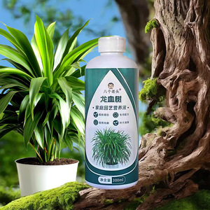 Solution nutritive Dragon Blood Tree pour huit vieillards du jardin, 300 ml, engrais liquide pour plantes d'intérieur - Product Image 4