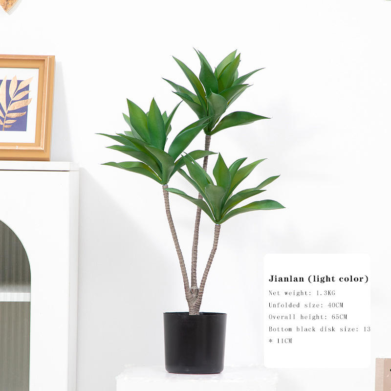 Jianlan (มงกุฎดอกบัว) สีอ่อน