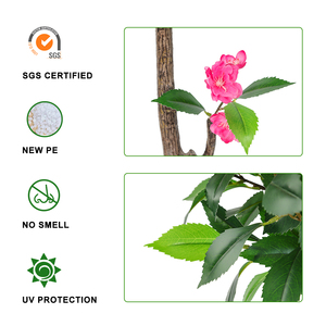 PZ-3-208 sản xuất Faux Silk <span class=keywords><strong>Peach</strong></span> <span class=keywords><strong>Blossom</strong></span> với nồi nhựa hoa nhân tạo cây <span class=keywords><strong>bonsai</strong></span> - Product Image 5