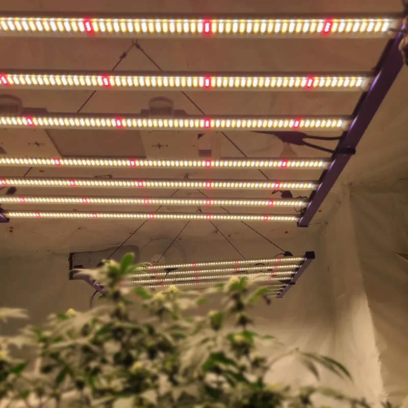 Plant grow lights