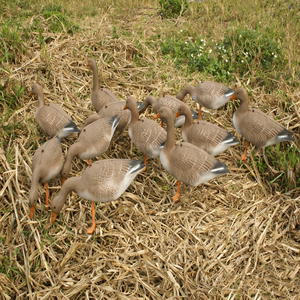 Wholesale Lifelike Floating Goose <b>Decoy</b> - Customized EVA Plastic Foam Realistic Geese for <b>Hunting</b> Factory Outlet - Product Image 6