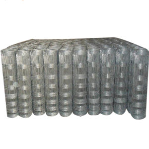 รั้วฟาร์มปศุสัตว์1.5เมตรทำจากเหล็กชุบสังกะสีมีลวดเกจ<span class=keywords><strong>12</strong></span>เส้น - Product Image 6