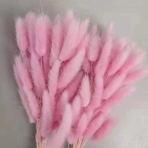 Vente en gros de <span class=keywords><strong>Lagurus</strong></span> Ovatus (Queues de lapin) séchées naturelles de qualité supérieure, 50 tiges/lot, pour les fleuristes et les organisateurs d'événements - Product Image 4