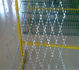 Fil de fer barbelé concertina avec fil en acier inoxydable et en fer, lame de rasoir haute résistance, clôture de sécurité - Product Image 1