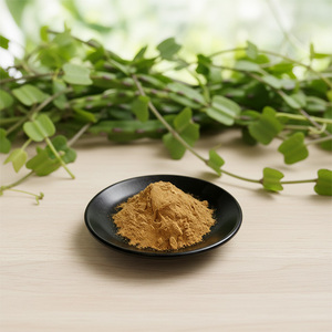 시서스 쿼드란귤라리스 분말 10:1 시서스 쿼드란귤라리스 추출물 도매 - Product Image 3