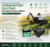 Batterie pour robot agricole Lithmate OEM, cycle profond, longue autonomie, 12V 24V 48V 72V 20Ah 45Ah 60Ah 100Ah 200Ah