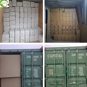 Grosir Kacang Tanah Kupas Varietas 25/29, 100% Alami, Mentah, Kualitas Makanan, Kemasan 25KG, Harga Murah - Product Image 6