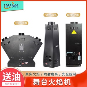 Máquina de llamas Limin Stage Flame de 3000W para exteriores, lanzallamas para efectos de iluminación en escenarios - Product Image 4