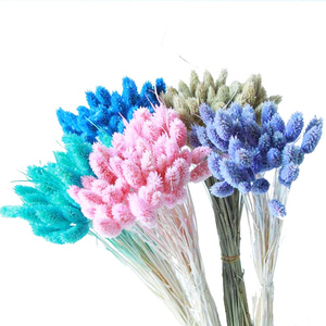 Fleurs séchées biologiques en gros Summer <span class=keywords><strong>Flora</strong></span> pour la décoration intérieure, fleurs de Jewelweed pour la décoration de la maison - Product Image 2