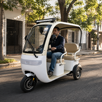 Tricycle Électrique Ouvert SumEV 3 Places pour Visites Touristiques, 60V, avec Auvent Pare-Soleil et Rideau Anti-Pluie, Autonomie 30-50km, Idéal pour le Transport dans les Zones Scéniques et les Complexes Hôteliers