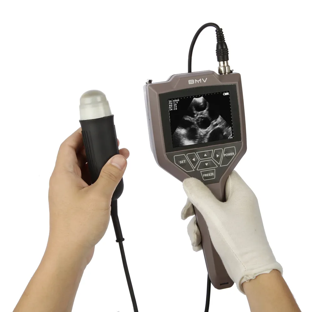 Meilleure vente d'équipement d'essai de grossesse de truie à ultrasons vétérinaire Scanner à ultrasons vétérinaire portable