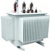 Transformateur de distribution triphasé immergé dans l'huile pour usage agricole et parcs industriels, 50KVA, 80KVA, 100KVA, 160KVA, 6kV, 10kV