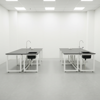 Table de laboratoire en fer VitalLab à prix abordable, design simple, évier intégré, résistante aux alcalis, revêtement en poudre époxy, moderne, mobile, structure en H, 2 places