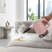 Nettoyeur vapeur électrique portable professionnel, mini, haute puissance, forte pression, pour le nettoyage de la voiture, de l'extérieur et de la maison