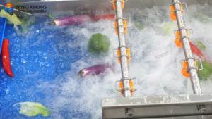 Industriële Spray Luchtbel Groenten En Fruit Wasmachine Met Transportband - Product Image 3