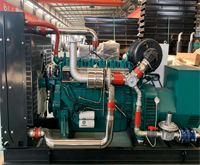 Groupe électrogène à gaz haute efficacité 150 kW, alimentation de secours industrielle et commerciale
