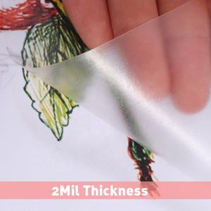 Fournisseur de papeterie scolaire OEM Rouleau de film plastique transparent de couleur Protecteur de couverture de <span class=keywords><strong>livre</strong></span> auto-adhésif transparent pour les écoliers - Product Image 4