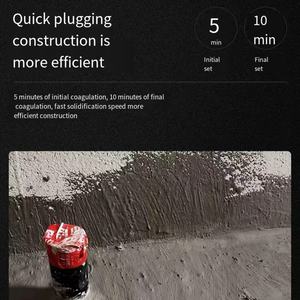 Matériau de réparation de fissures de revêtement imperméable à séchage rapide - Product Image 3