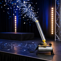 Vente en gros de poudre de confettis en aérosol Télécommande électronique Révélation du sexe Feux d'artifice extérieurs Fête de mariage Fête de remise des diplômes