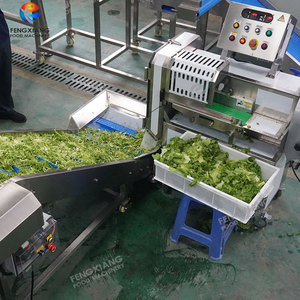 สายการผลิตทำความสะอาด ตัด และบรรจุผักอุตสาหกรรมแบบสุญญากาศ 1-2 ตันต่อชั่วโมง ปรับแต่งได้สำหรับการจัดหาผักให้ซูเปอร์มาร์เก็ต - Product Image 5