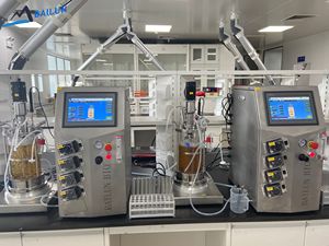 Precio de laboratorio Heterotrophic Microagae Agitación mecánica 20L Biorreactor de celda de vidrio de borosilicato BLBIO-20GJA - Product Image 2