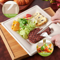 SINCERE Factory Wholesale Modern Disposable Eco Sugarcane Bagasse Square Plates Trays 8 Inch Shandong for Party