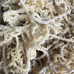 วัตถุดิบจากทะเลธรรมชาติมอสจากเวียดนามทำจากมอสทะเลแห้งแบบพรีเมี่ยมสำหรับส่วนประกอบอาหารและเครื่องดื่มจากเวียดนาม - Product Image 1