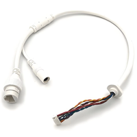 Conector RJ45 DCJ Impermeable de 10 Núcleos con Conductor de Cobre Estañado Aislado con PVC, Arnés de Cableado para Cámaras IP PTZ
