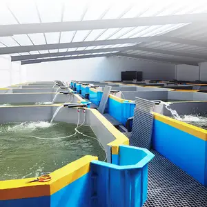 Ras shrimp farming equipment recirculating aquaculture systems ras design for bagda/ tiger shrimp