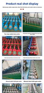 Vanne à opercule manuelle en acier inoxydable à joint rigide, vanne pour eau et boues, à double <span class=keywords><strong>bride</strong></span>, en acier moulé, taille de port 50 - Product Image 6