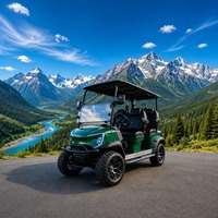Voiturette de golf électrique 6 places 72V 7.5KW à moteur AC et batterie au lithium pour navette de villégiature, pack Salt Air
